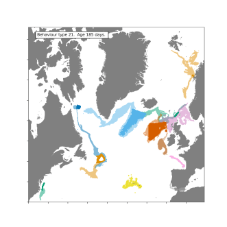 hist98_type21age37allcs