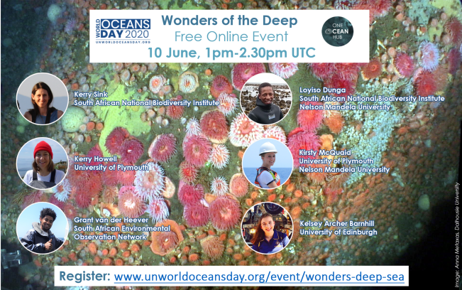 WOD_Wonders of the Deep